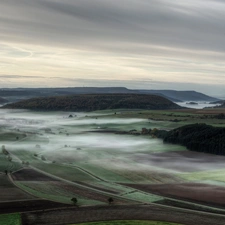 field, Fog