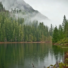 lake, Mountains, Fog, woods