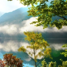 Mountains, lake, Fog, woods