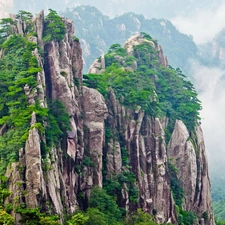 Mountains, VEGETATION, Fog, peaks