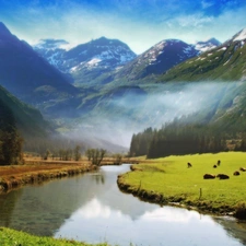 Mountains, woods, Fog, River