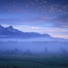 snow, Mountains, Fog, Valley, forest, height