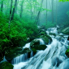 waterfall, Stones, Fog, forest