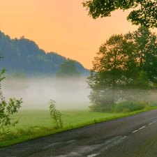 Way, woods, Fog, Mountains