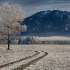 Mountains, field, Fog, winter, woods, Way