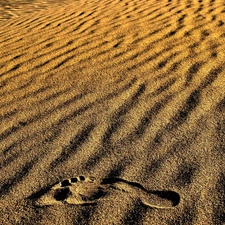 foot, Desert, Sand