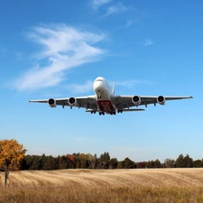 plane, Meadow, forest, Airbus A380