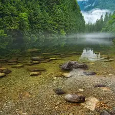 forest, Canada, Stones, Fog, lake
