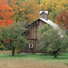 forest, Wooden, chapel