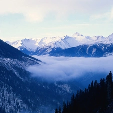 forest, Fog, Snowy, peaks, Mountains