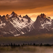 forest, Mountains, Fog