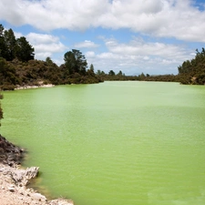 lake, forest