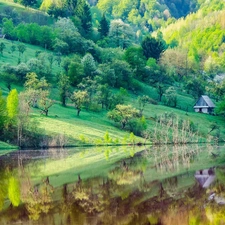 forest, Spring, lake