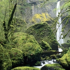 forest, waterfall, mountains