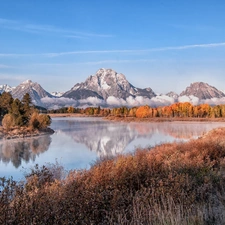 forest, Mountains, River