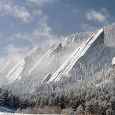 Sky, winter, forest, Mountains