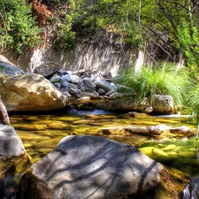 forest, water, Stones