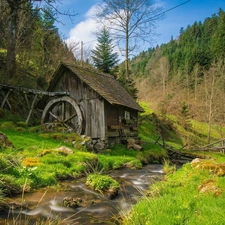 forest, Windmill, stream