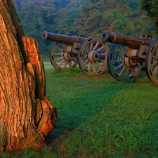 forest, cannon, trees