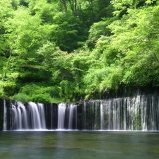 waterfall, viewes, forest, trees
