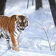 forest, tiger, winter