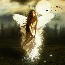 Women, moon, forest, wings