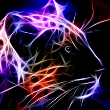 Fractalius, wild, cat