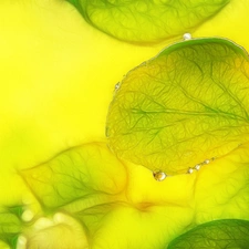 Leaf, Fractalius