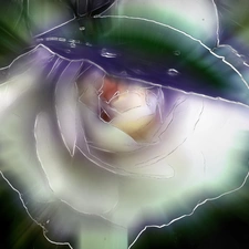 rose, Fractalius