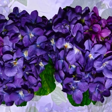 bouquets, fragrant violets, graphics, Flowers