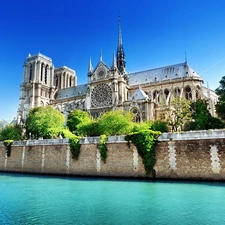 chair, Paris, France, Notre Dame