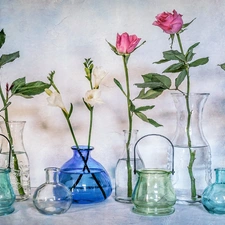 Freesias, vases, roses, White, Pink
