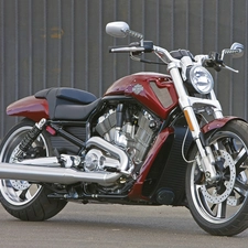 Front, Harley Davidson V-Rod Muscle, shacks