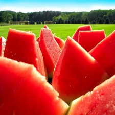 watermelon, fruit