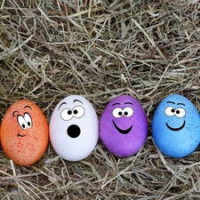 color, eggs, hay, Funny