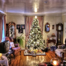 Room, christmas tree, furnished