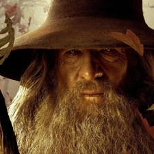 Leaf, Ian McKellen, Gandalf