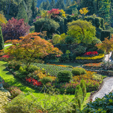 Butchart Gardens, trees, rebates, British Columbia, Flower-beds, Garden, viewes, Canada, Brentwood Bay, Alleys