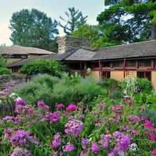 house, Garden