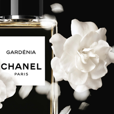 Flowers, perfume, Chanel, Gardenia