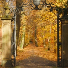 viewes, Park, Gate, autumn, Leaf, trees