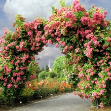 Gate, Garden, rosy