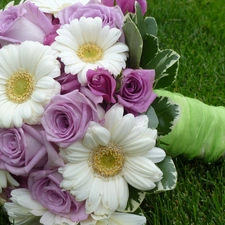 bouquet, roses, gerberas, flowers