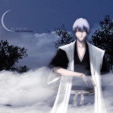 Night, bleach, Gin Ichimaru