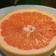 half, grapefruit