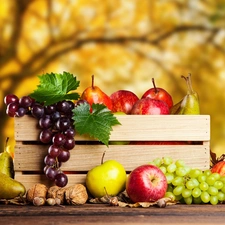 box, truck concrete mixer, Grapes, apples