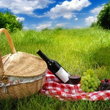 Grapes, picnic, basket, Wine, grass