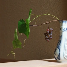 Grapes, bowl, twig