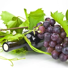 Grapes, Bottle, Wines