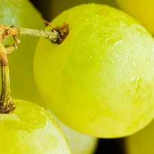 Yellow, Grapes